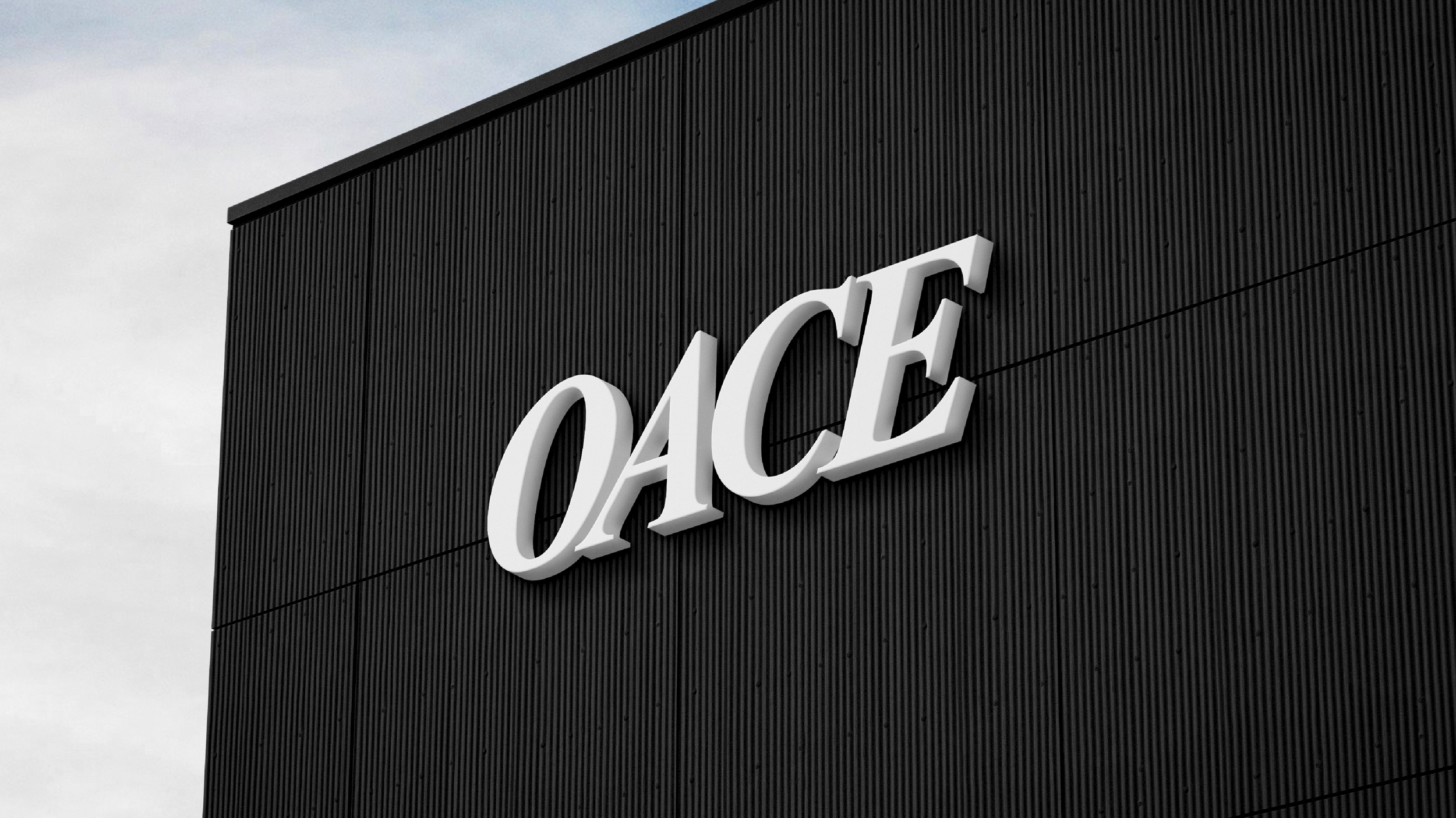 OACE — Store-Beschilderung